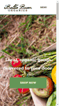 Mobile Screenshot of bellabeanorganics.com
